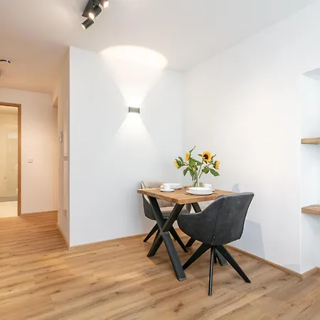 Hopfgarten Alpin Living 2 Lejlighed